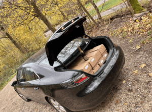 Blogbeitrag von Thamara Truaisch