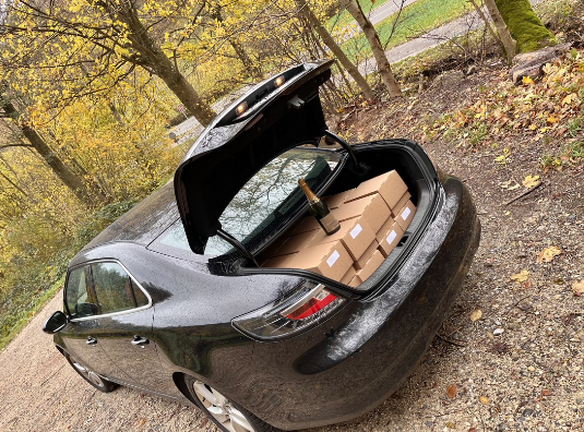 Blogbeitrag von Thamara Truaisch